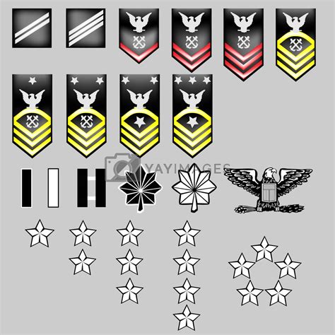 Us Navy Rank Insignia For Officers And Enlisted In Vector Stock Vector ...