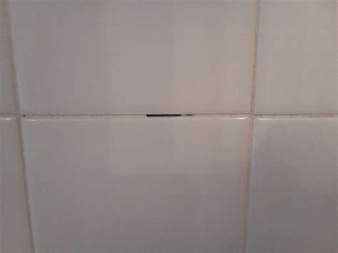 Replace Bathroom Tile Grout – Everything Bathroom