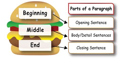 How to Structure A Paragraph | Paragraph Writing | EIW