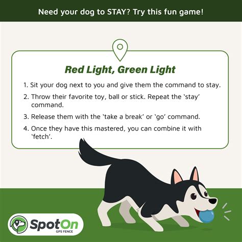 Backyard Bonding: 9 Dog Training Games for Quality Time | SpotOn