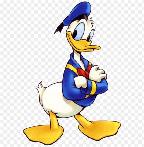 Donald Duck Clipart Png Photo - 22620 | TOPpng