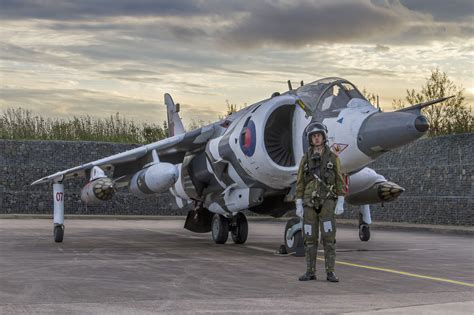 Hawker Siddeley Harrier GR3 ‘Zero Seven’ (07) XZ991 | British fighter ...