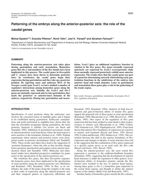 (PDF) Patterning of the embryo along the anterior-posterior axis: The ...