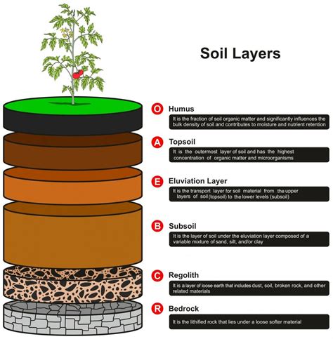 Layers Of Soil Diagram