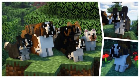 Minecraft better dogs texture pack (really cute) - YouTube