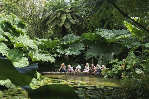 The Lost Gardens Of Heligan Pentewan St Austell Cornwall | Fasci Garden