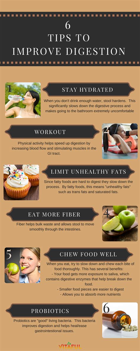 6 Tips To Improve Digestion (Infographic) | Holistic health remedies ...