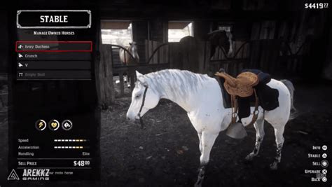 Red Dead Redemption 2 - White Horse