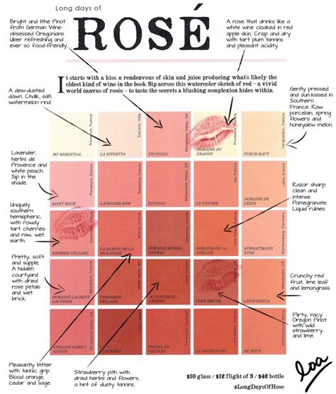 How To Make A Rose Wine Chart For Your Next Tasting - Food Republic