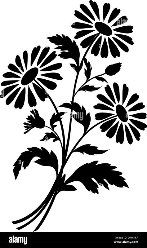 Chamomile flowers, silhouettes Stock Vector Image & Art - Alamy