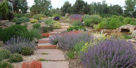 Xeriscaping Ideas - Landscaping Network