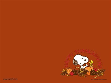 [200+] Thanksgiving Wallpapers | Wallpapers.com