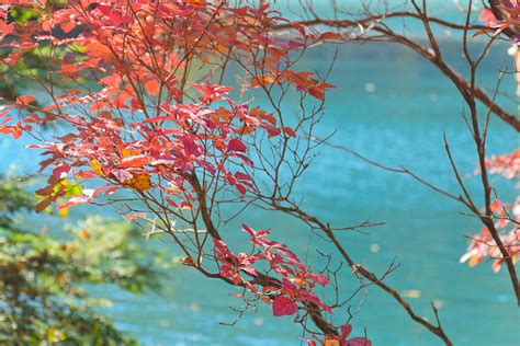 Photo of the Day: Autumn in Nikko National Park, Japan | Asia Society