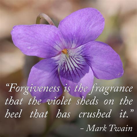 Payette Forward | Fragrance quote, Forgiveness, Cool words