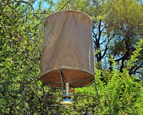 The beginners guide to a bucket shower - Africa Geographic