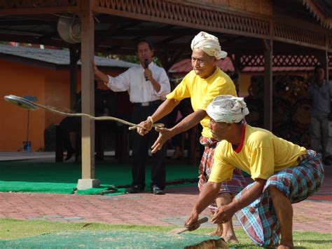 Gasing Uri - Permainan tradisional rakyat Kelantan/Terengganu