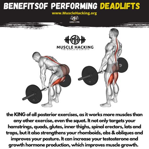 Benefits of Deadlifting – Muscle Hacking