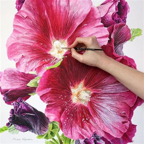 Anna Mason annamasonart | Botanical painting, Hollyhocks flowers ...