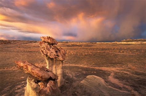 Bisti Badlands New Mexico - Alan Majchrowicz Photography