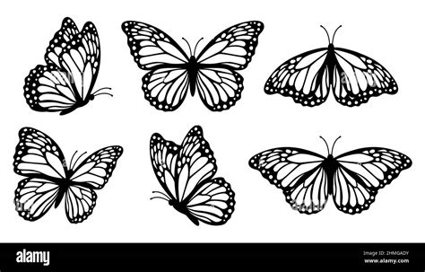 Monarch butterfly silhouettes collection, vector illustration isolated ...