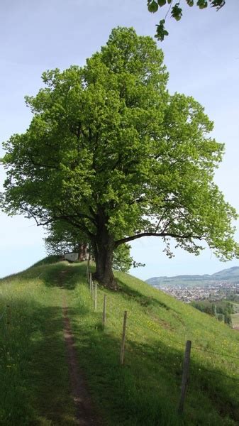 Jakobsweg camino de santiago pilgrimage Photos in .jpg format free and ...