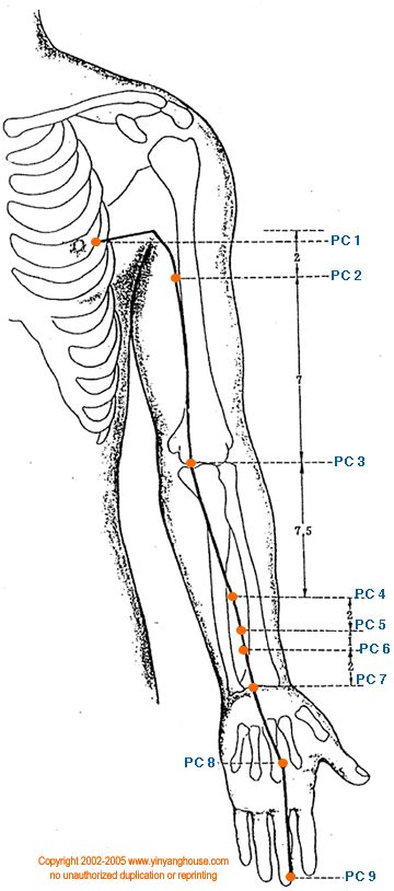 Yin Yang House | Pericardium Meridian Acupuncture Points Database