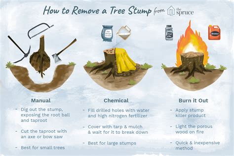 Tree Stump Removal METHODS - Learn