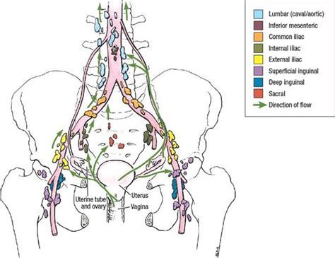 Groin Lymph Node Cancer In Men