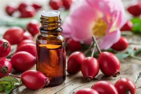 Rosehip Oil for Hair + DIY Rosehip Oil Hair Serum - Beauty Crafter