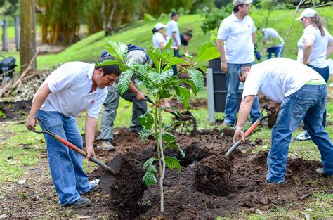 A Reforestation Campaign in Kherson Region! | Ukraine Gate