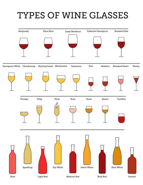 Types of Wine Glasses | Types of wine glasses, Different types of wine ...