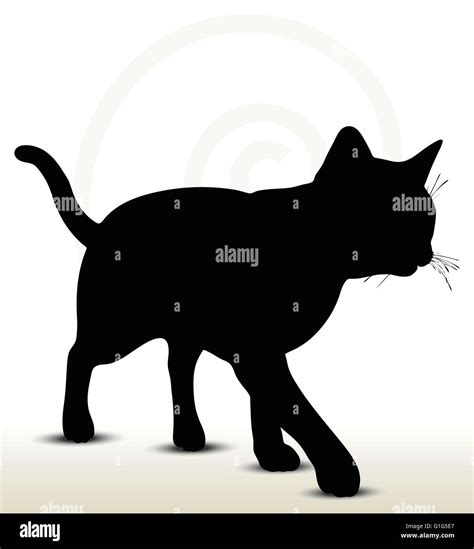 illustration of cat silhouette isolated on white background - in ...