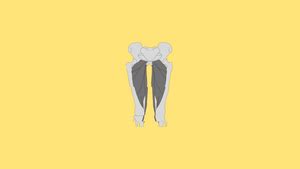 Gracilis Flap - Anatomy, Technique, Indications