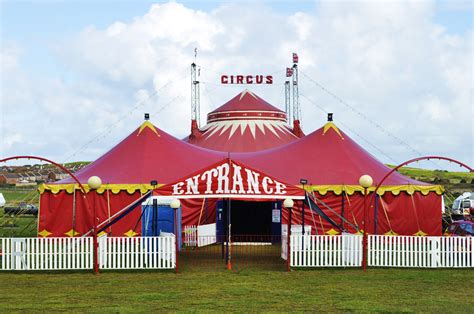 Donegal County Council to consider banning circus animal acts ...