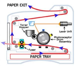 Printer Drum 101 | Bold Spicy News