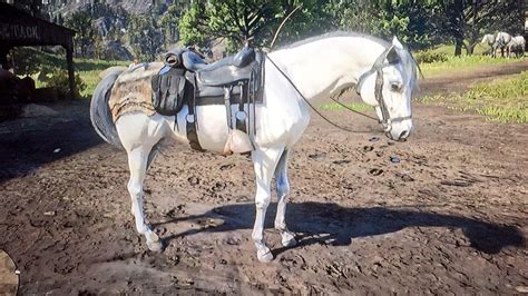 The Elite White Arabian Horse! : r/reddeadredemption2