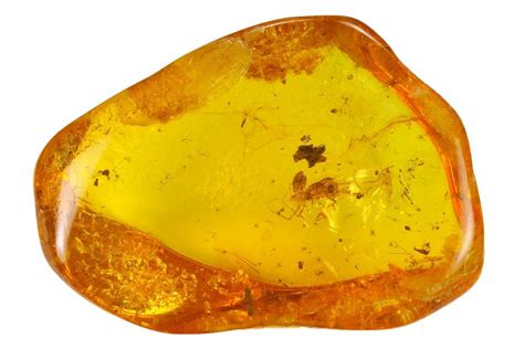 Fossil Mite (Acari) with Spider Webs in Baltic Amber - Rare! (#135037 ...