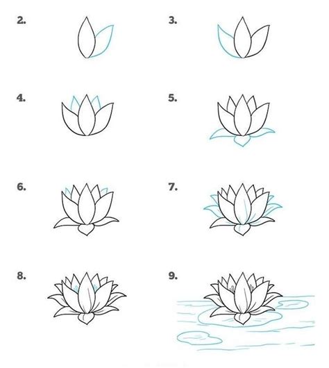 How to Draw a Water Lily Step by Step - Nelson Theaks