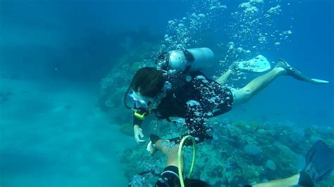 Scuba Diving Certification Requirements - Your Guide To Open Water ...