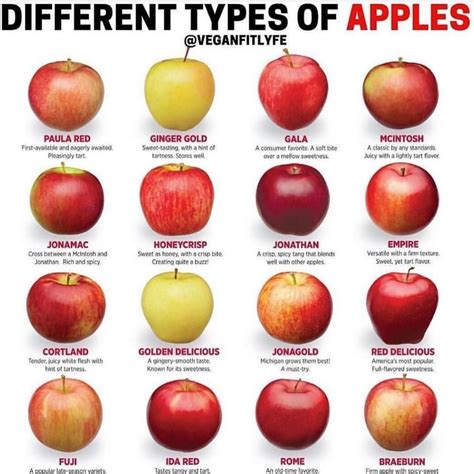 So many kinds of apples 🍎 🍏 which are your tops choices? . Follow ...