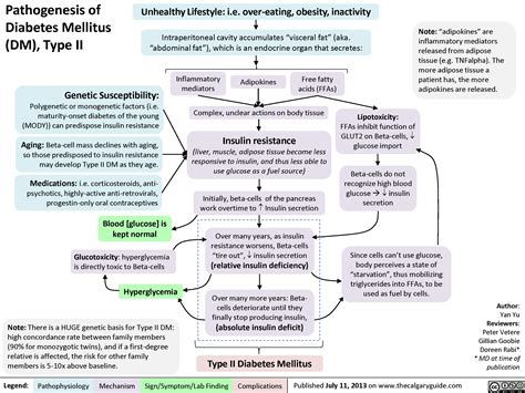 Pathogenesis of Diabetes Mellitus (DM), Type II | Calgary Guide