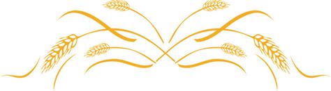 Download High Quality wheat clipart border Transparent PNG Images - Art ...