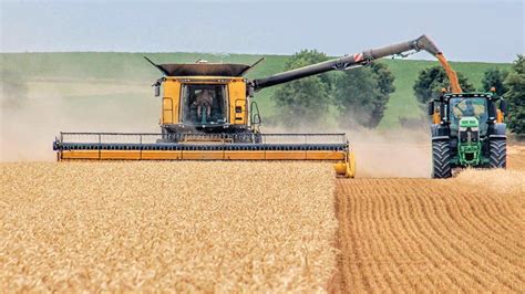 Harvest 2022: One of the earliest starts for wheat cutting - Farmers Weekly