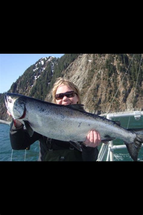 Seward, kingsalmon, florettec, nauti otter inn, nauti otter, hostel ...