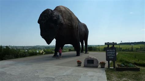 National Buffalo Museum