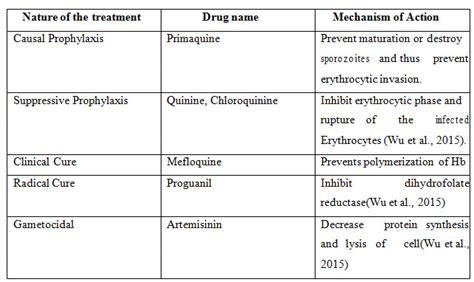 APICOPLAST: A BRILLIANT FOCUS FOR ANTIMALARIAL DRUG DEVELOPMENT | Page ...