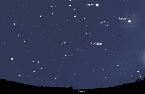 Hydra constellation | Constellations, Vedic astrology, Hydra