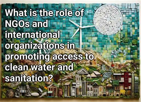 What is the role of NGOs and international organizations in promoting ...