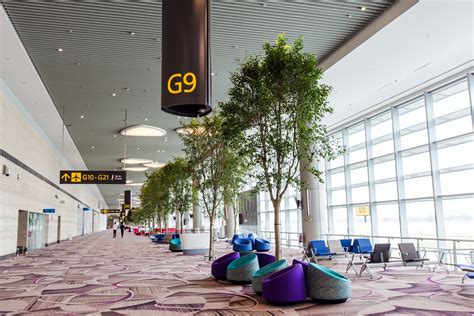 A Look Inside the New Terminal at Singapore Changi Airport