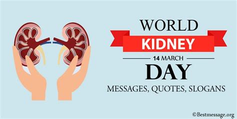 World Kidney Day Messages, Quotes, Kidney Slogans 2024